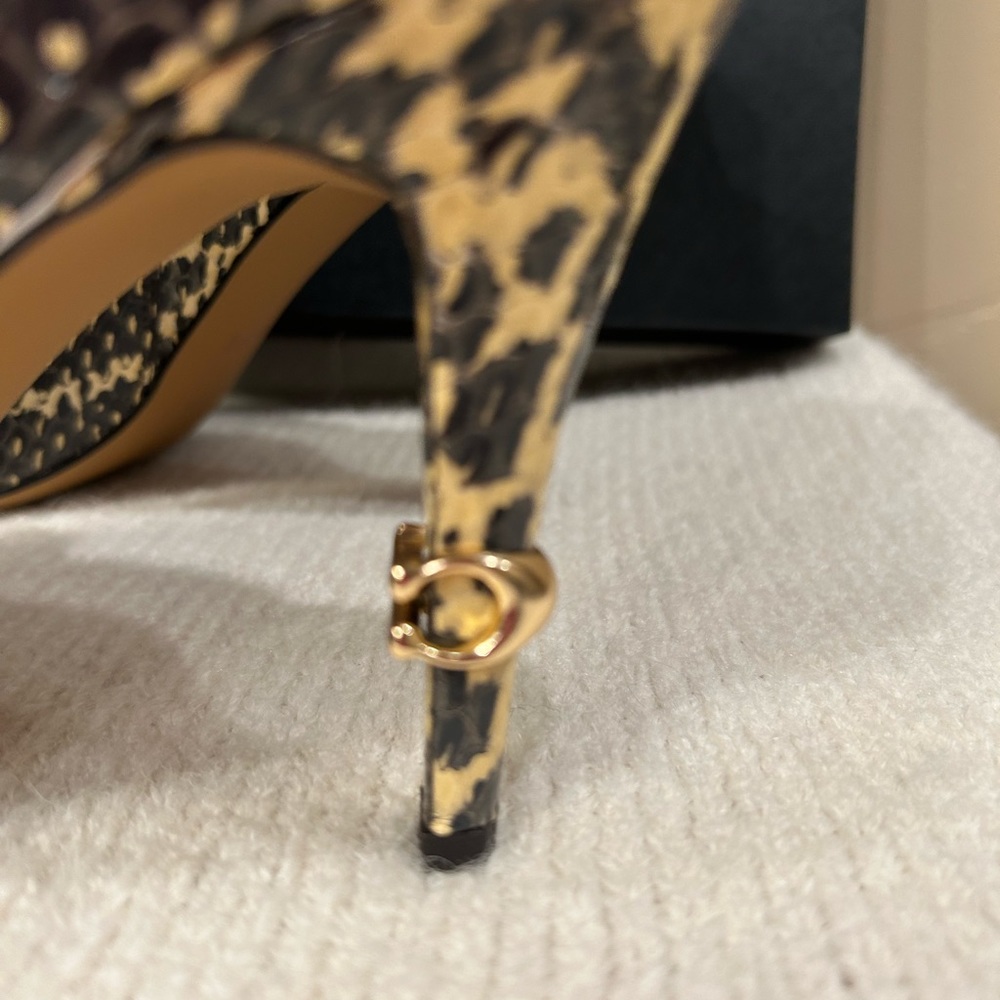Coach Remi "Snake Bite" Bootie (Size 9) View 6